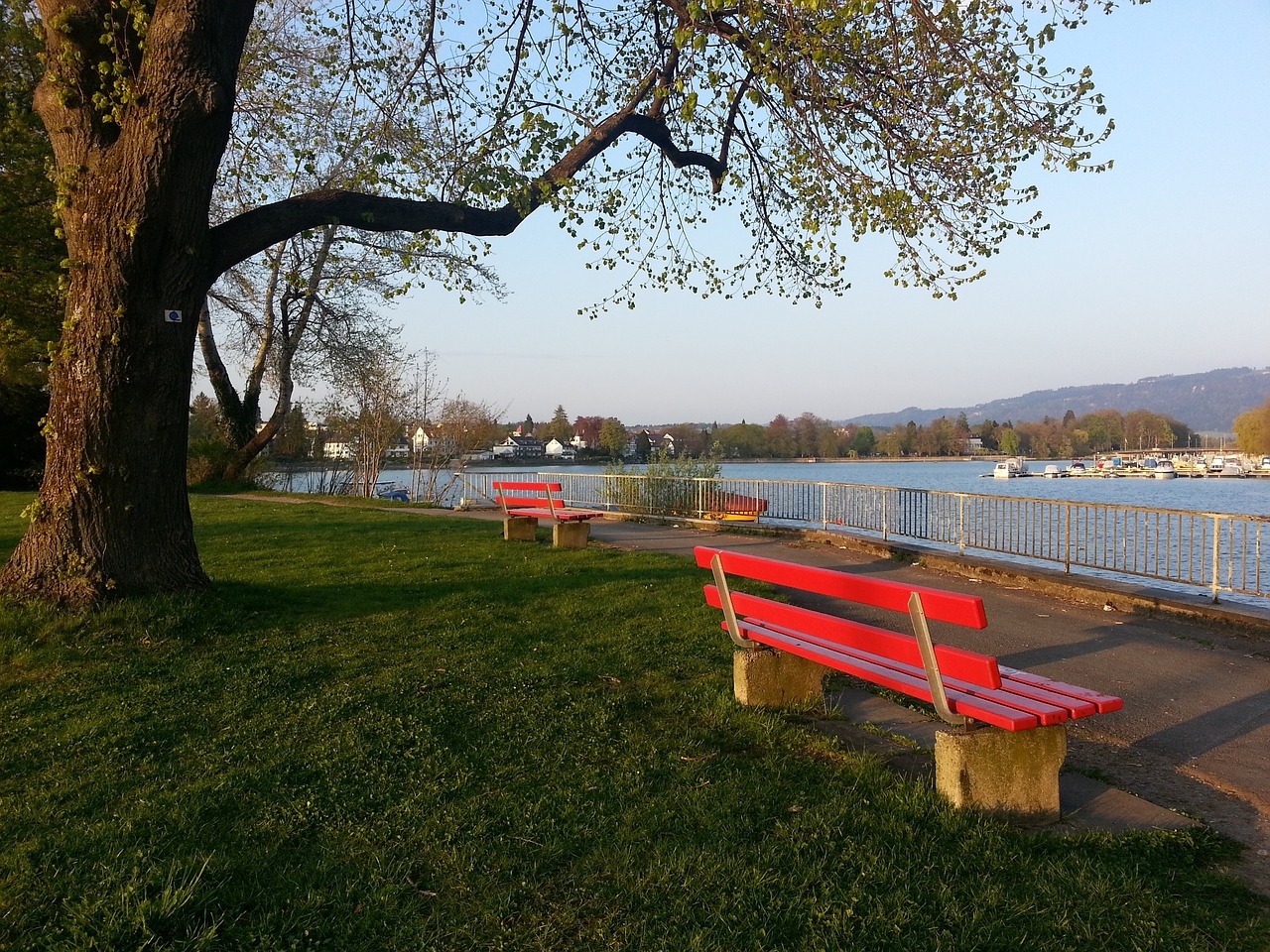 图拉姆的进 图拉姆的进