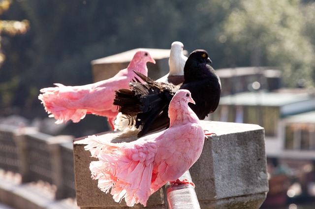 而是一场无 而是一场无