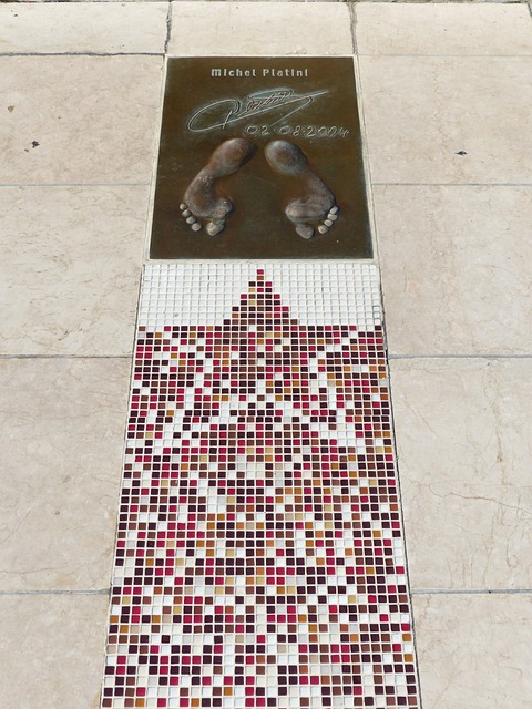 深圳队逐步 深圳队逐步