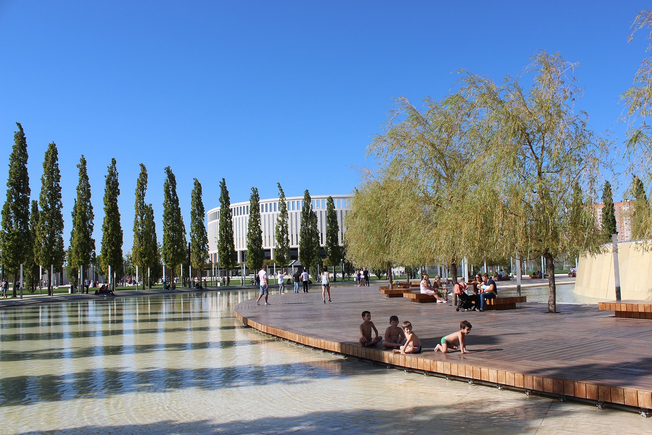 新加坡经验 新加坡经验