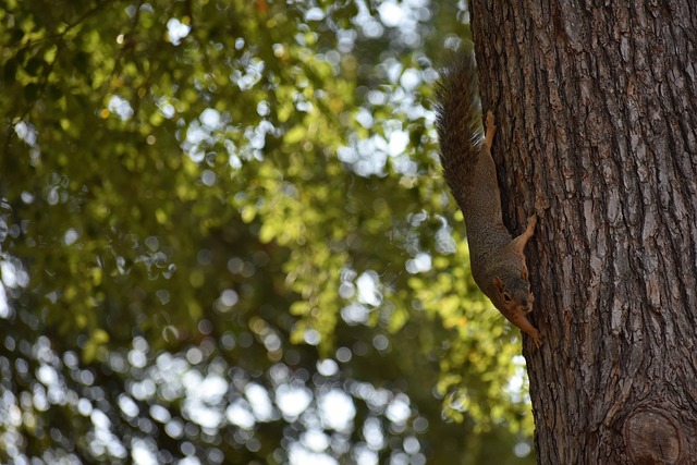无论是车轮 无论是车轮